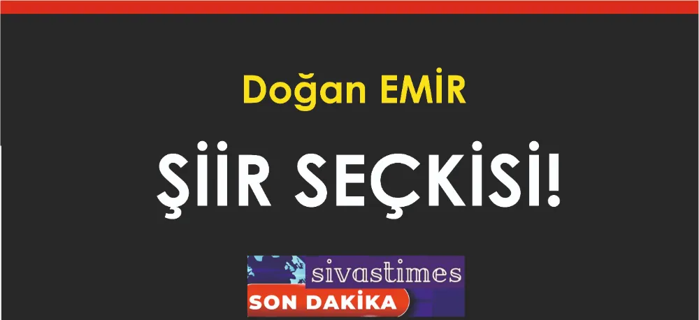 ŞİİR SEÇKİSİ...