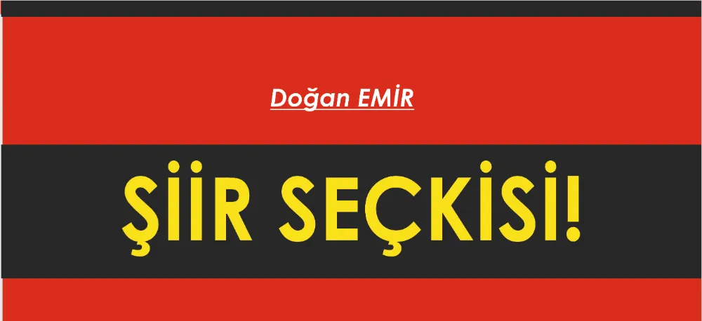 ŞİİR SEÇKİSİ...