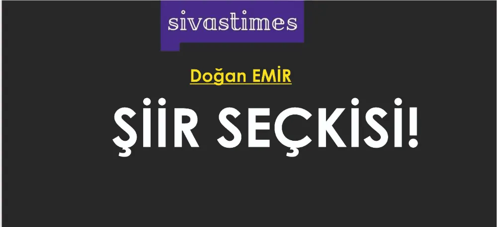 ŞİİR SEÇKİSİ...