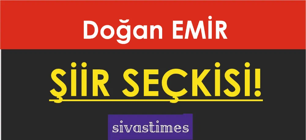 ŞİİR SEÇKİSİ...