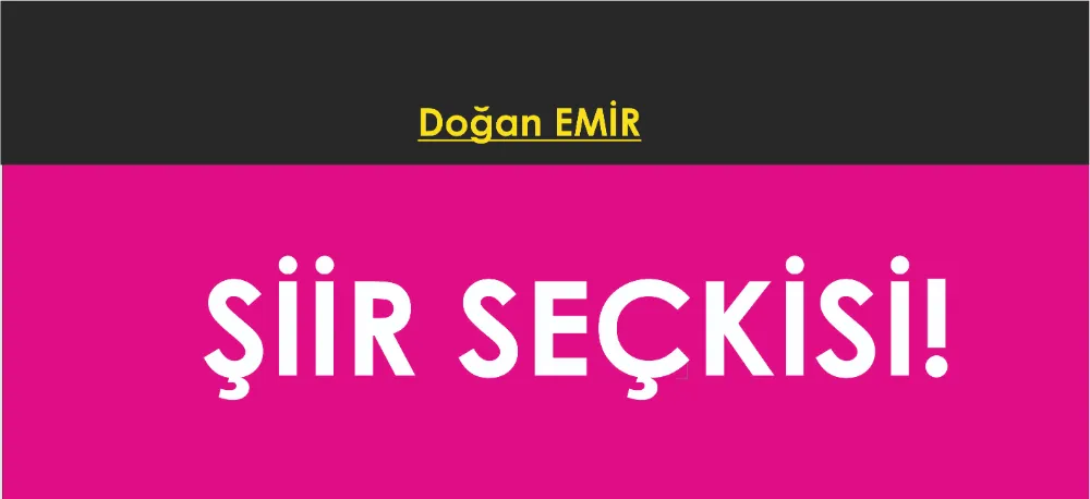 ŞİİR SEÇKİSİ...