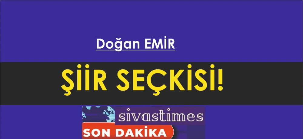 ŞİİR SEÇKİSİ...