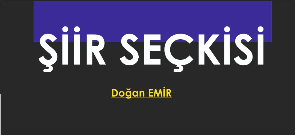 ŞİİR SEÇKİSİ...