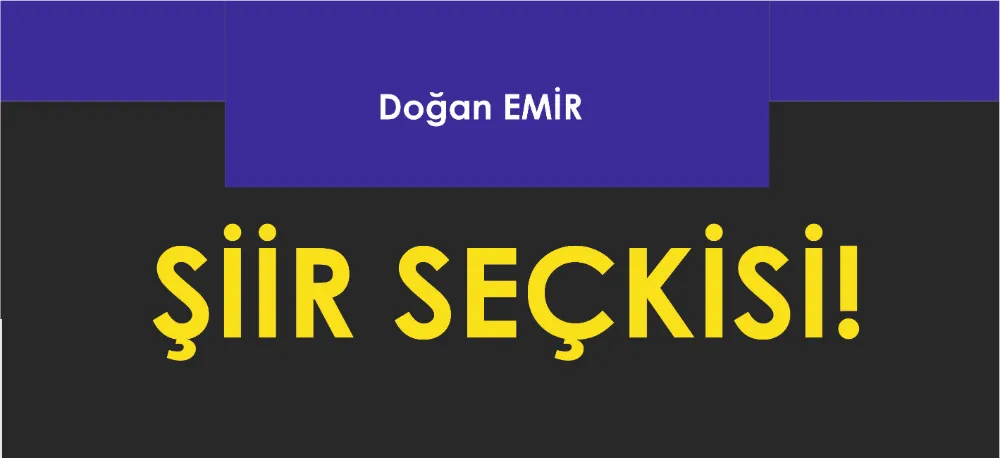 ŞİİR SEÇKİSİ...