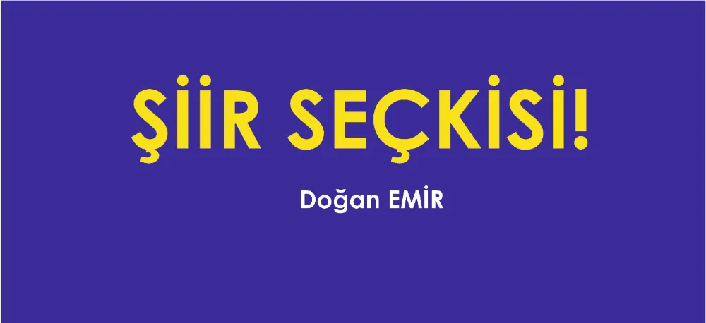 ŞİİR SEÇKİSİ...