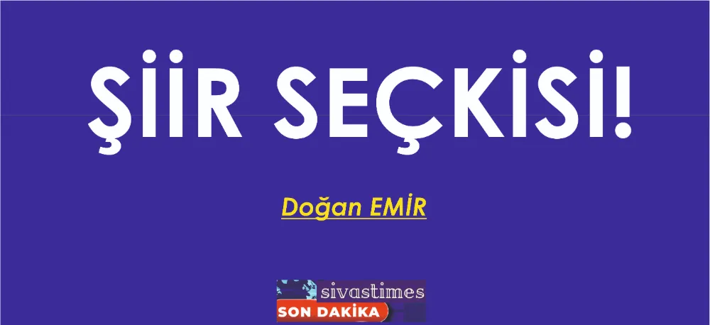 ŞİİR SEÇKİSİ...