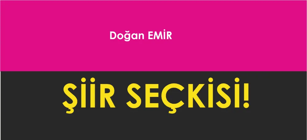 ŞİİR SEÇKİSİ...