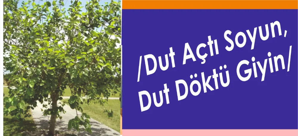 ATALAR SÖZÜ YERE DÜŞMEZ!..