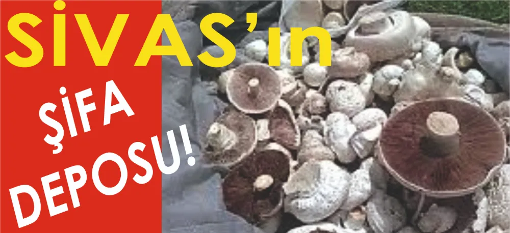 ETİN KARDEŞİ GİBİ!