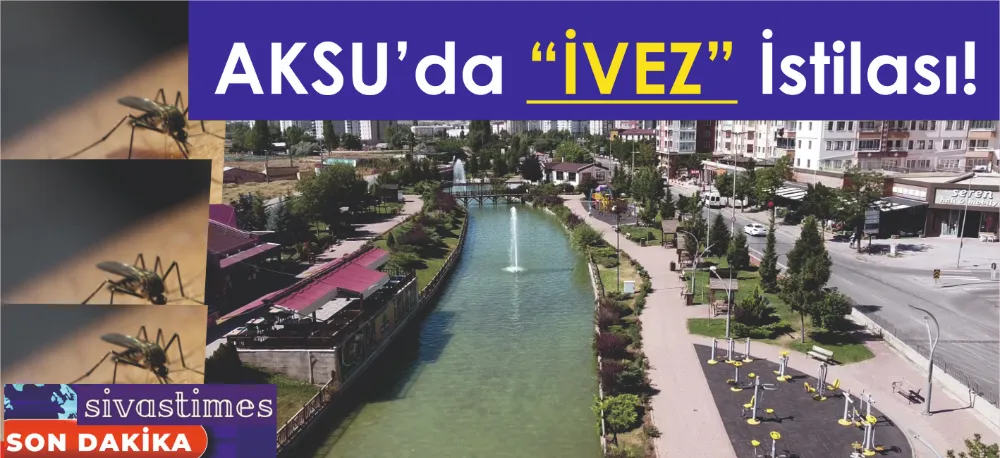 BELEDİYENİN HABERİ VAR MI?