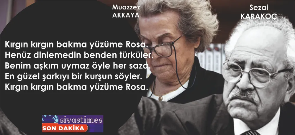 MONA ROSA, HAYATINI KAYBETTİ!