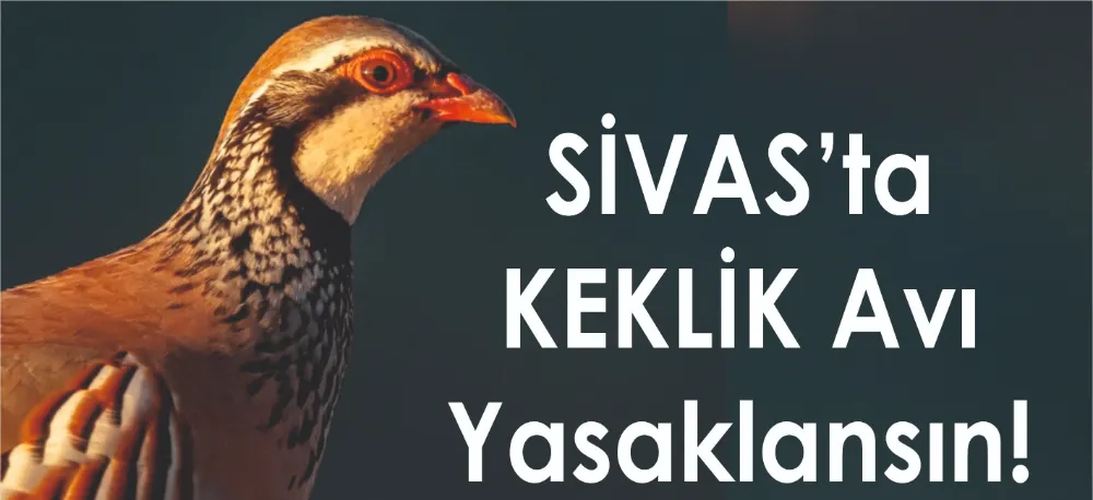 KEKLİKLER DOĞANIN DENGESİ!