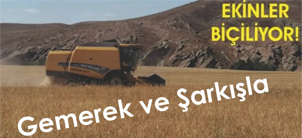 HASAT BAŞLADI!