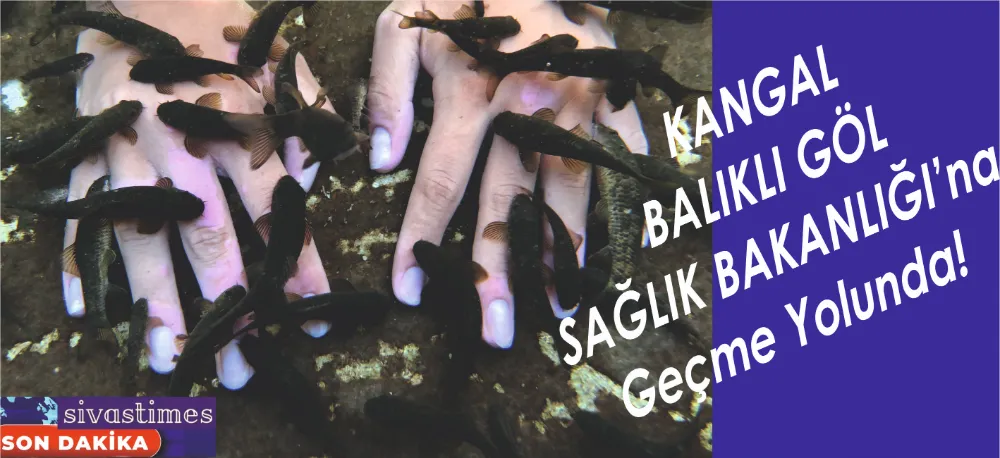 KANGAL, Sağlık Turizm Merkezi Olabilir!