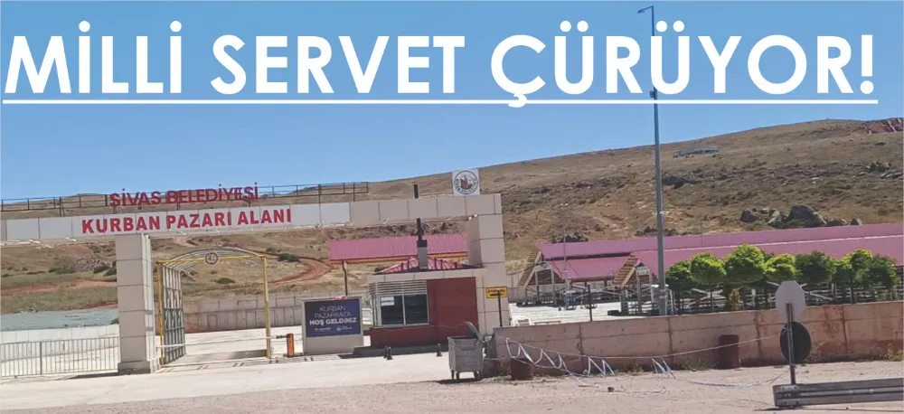 AVUÇ DOLUSU PARA BURADA HEBA EDİLDİ!