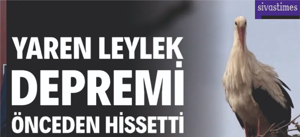 HAYVANLAR DEPREMİ HİSSEDİYOR!