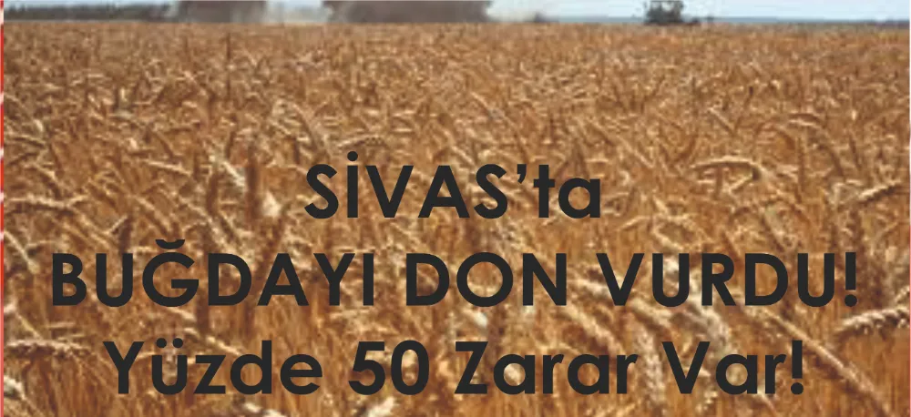 SİVASLI ÇİFTÇİ DERTLİ!