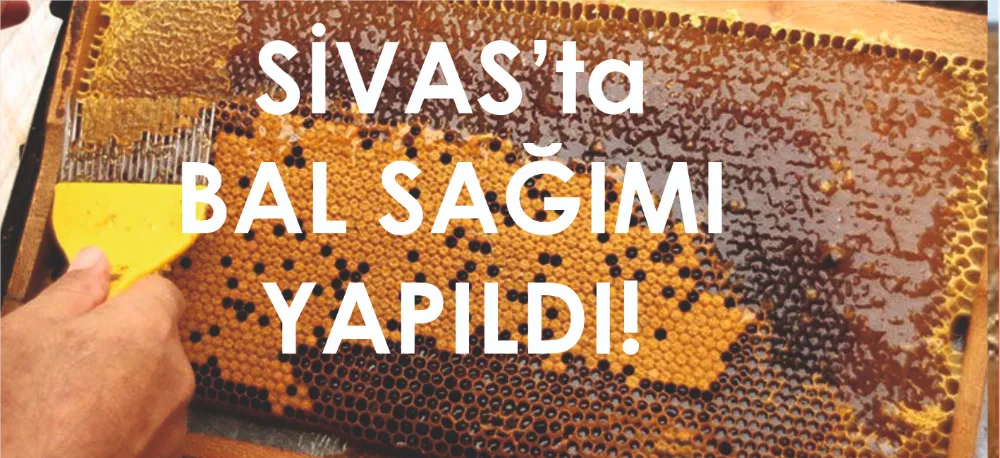 SİVAS BALI HAZIR!