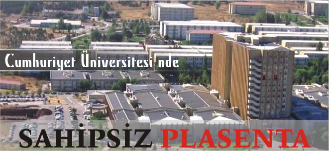 SEÇİM ÖNCESİ ŞAKLABANLARI