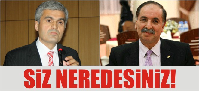 SİZ NEREDESİNİZ?