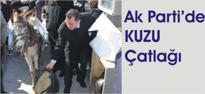 Kuzu Kuzu Operasyon